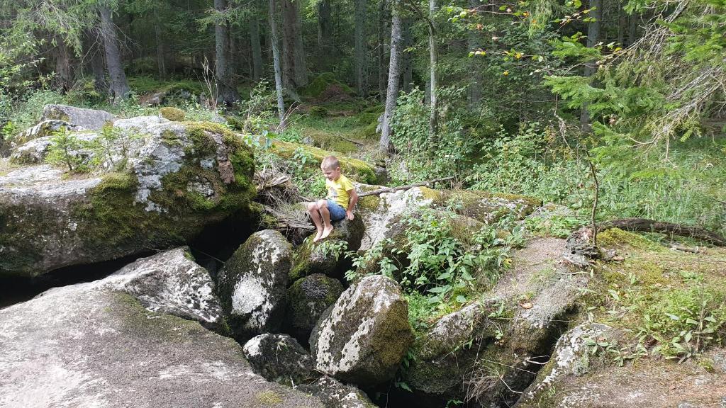 Příroda nedaleko prázdninového domu