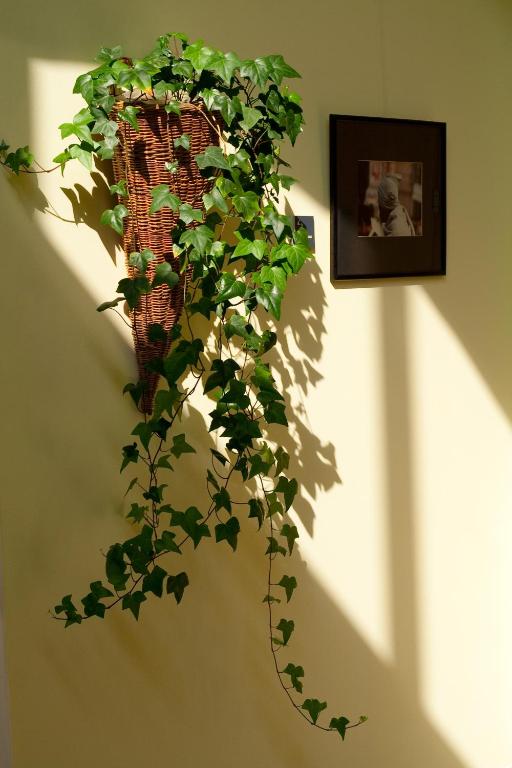 CEU Konferencia Központ - Resim 43