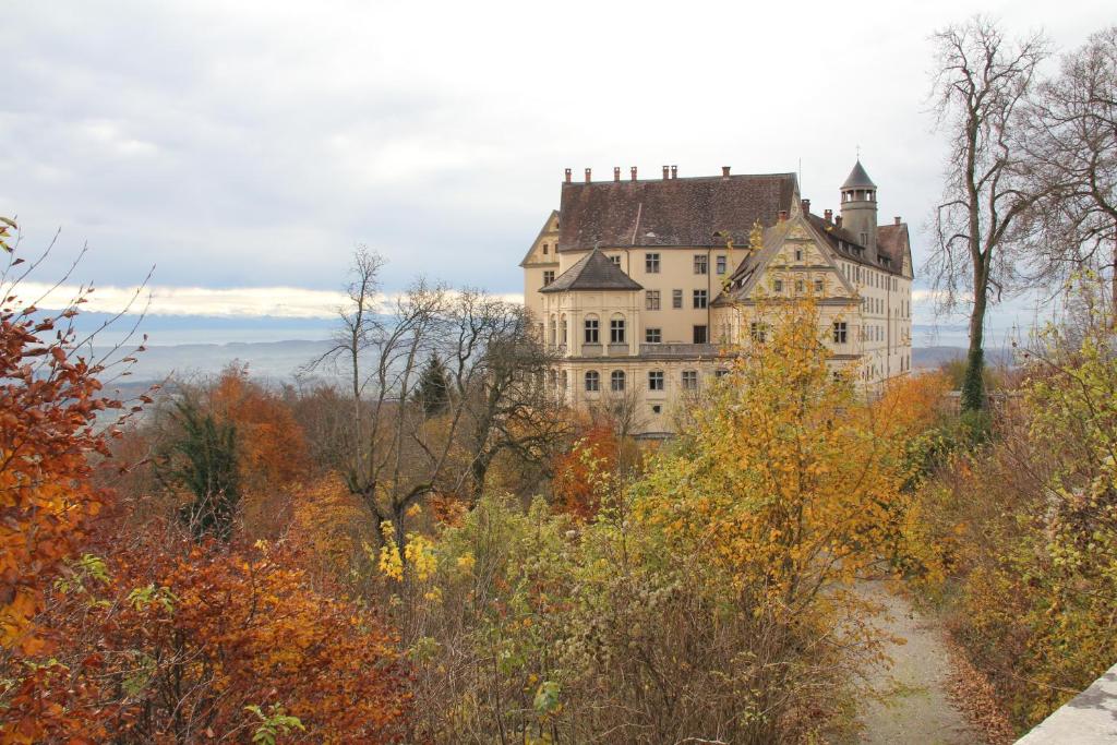 a large castle on top of a hill with trees at Ferienwohnung am Schloss in Heiligenberg