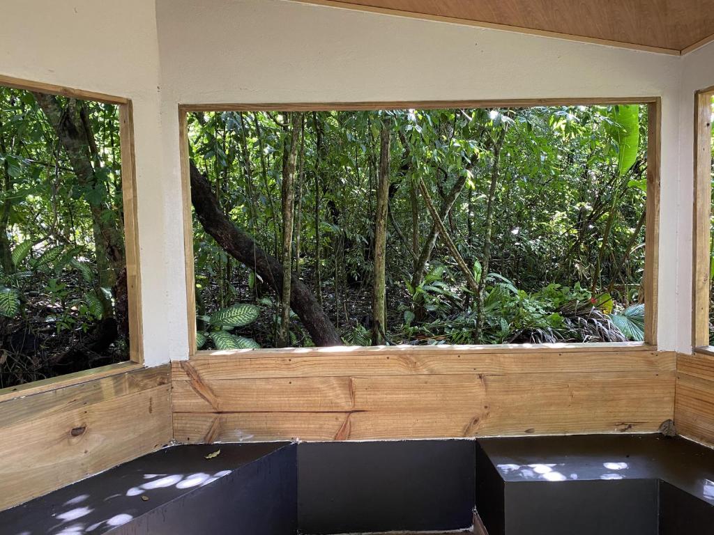 Zahrada ubytování La Posada Jungle Hotel