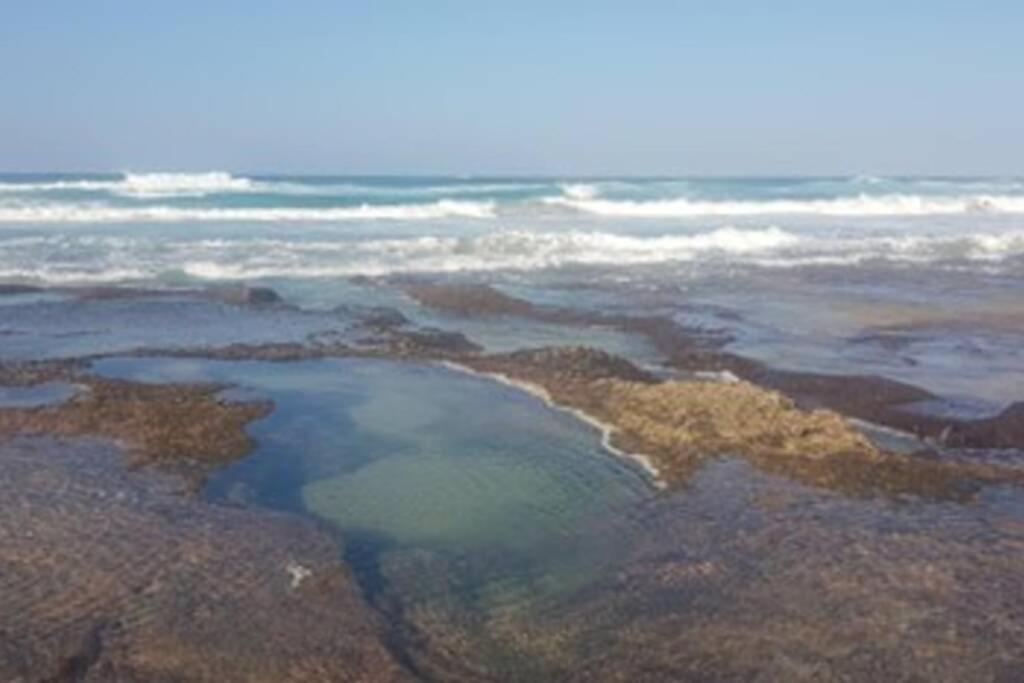 Paesaggio naturale nelle vicinanze della villa