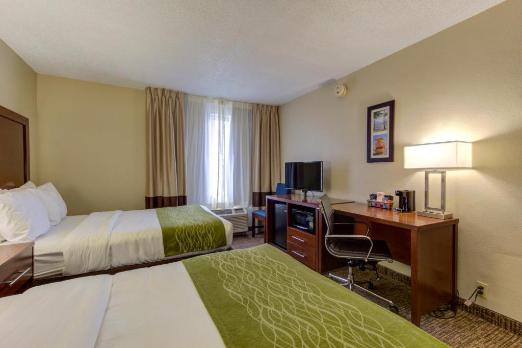 Comfort Inn St Petersburg North photo
