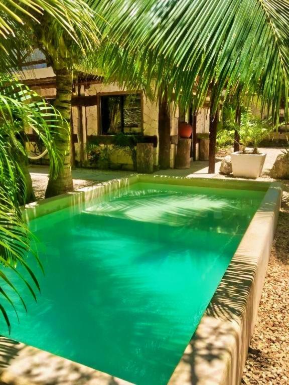a swimming pool with green water and palm trees at La Casa de Mia Tulum in Tulum