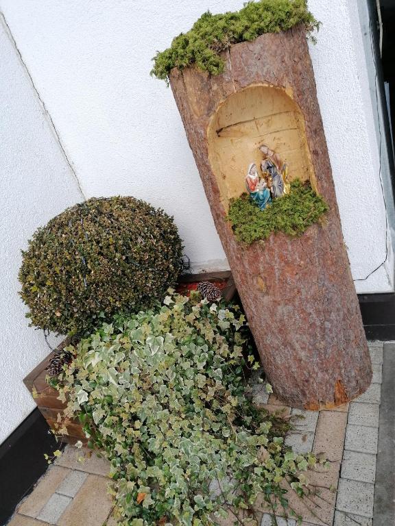 Zahrada ubytování Appart Pfeifer