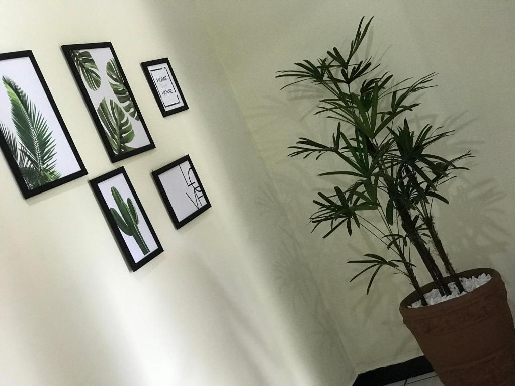  Chácara Sombra da Mata