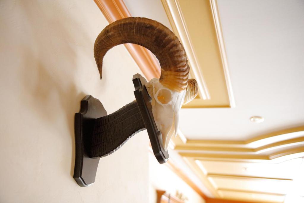 Fotografie z fotogalerie ubytování Hotel Gruber v destinaci Steinheim