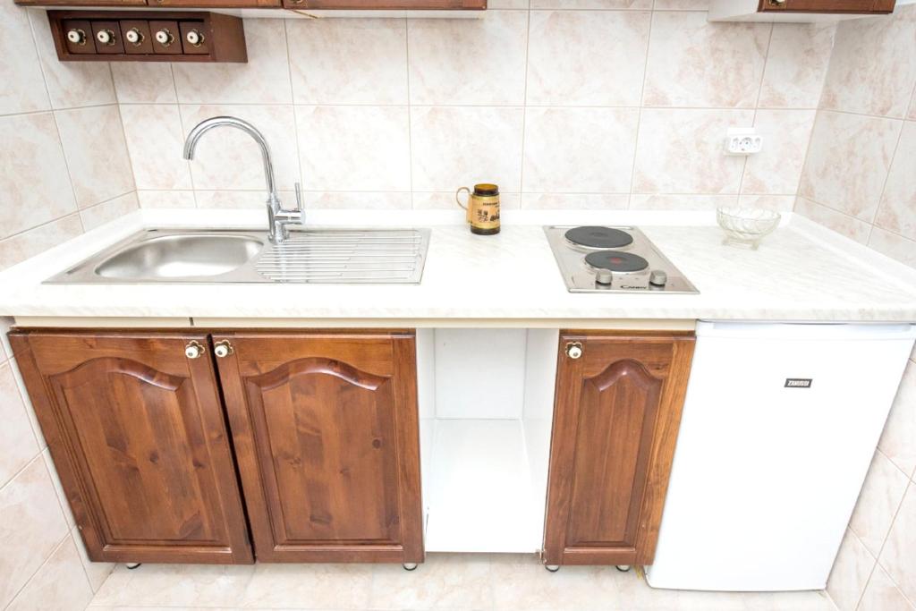 Kuchyňa alebo kuchynka v ubytovaní Cozy apartment in Kaštel Štafilić 27 m² with shared pool