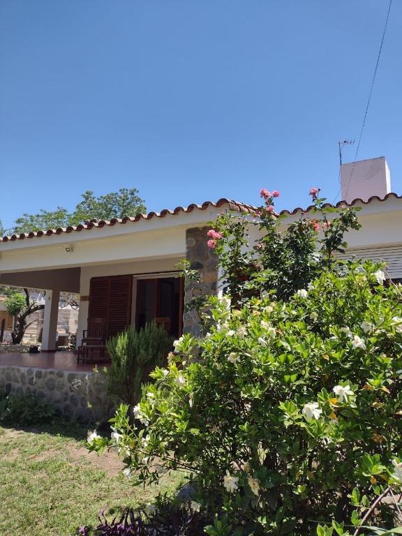 Villa Coca-Los Agapantos-