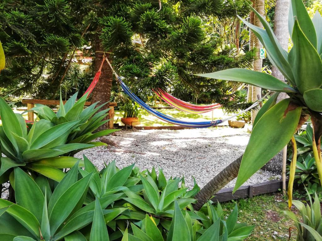 Zahrada ubytování Hotel Marrokos Aeropuerto José María Córdova