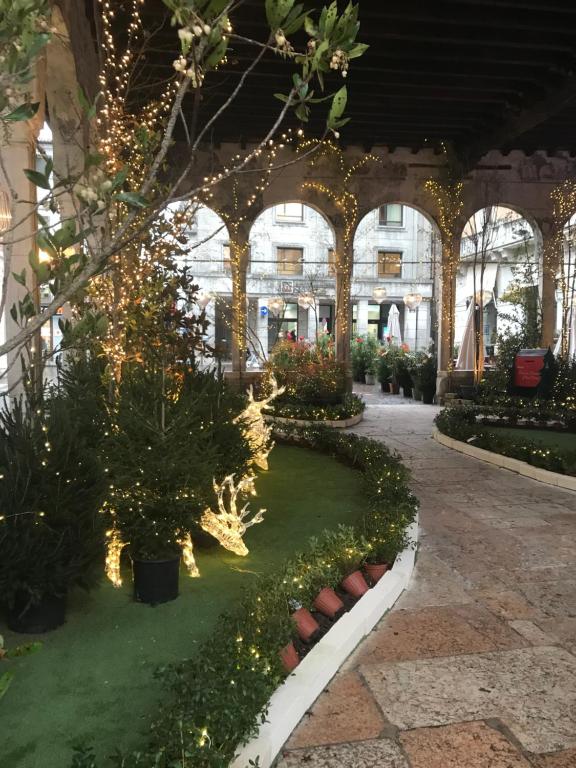 A garden outside Cosy Flat
