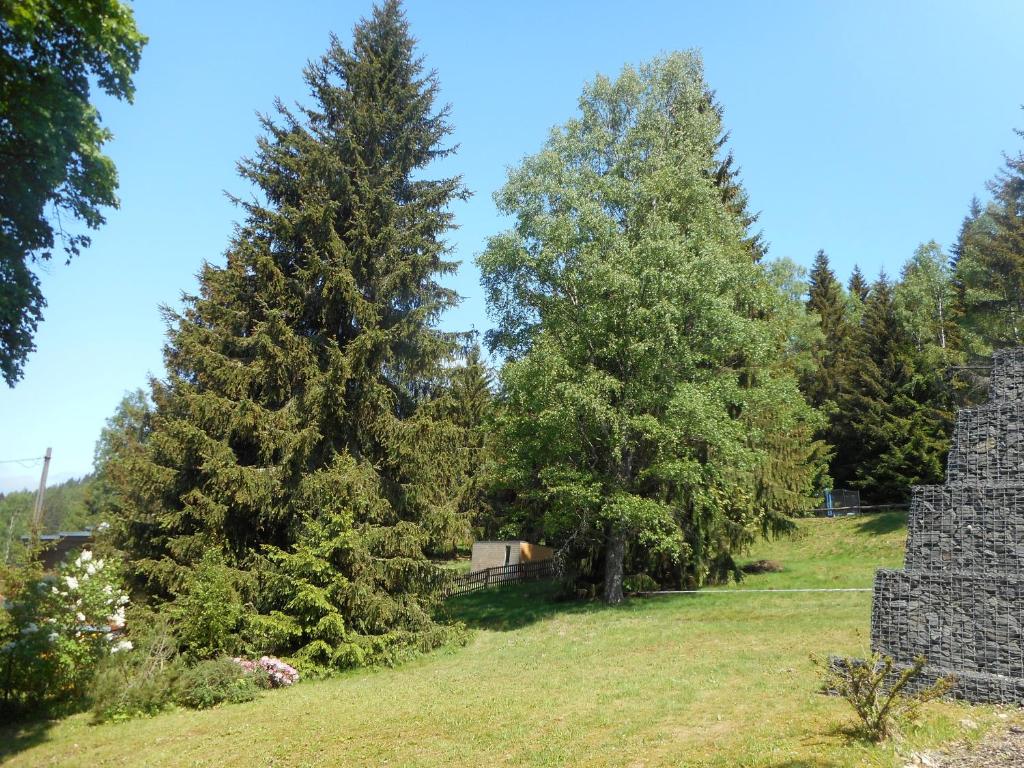 Zahrada ubytování Pension U Jelinka