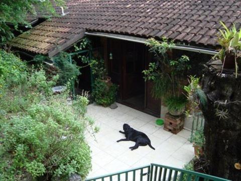  Casa Alecrim