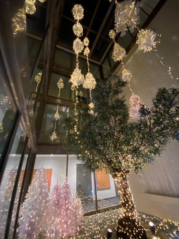 Φωτογραφία από το άλμπουμ του Hotel My Way Zürich Wallisellen σε Wallisellen