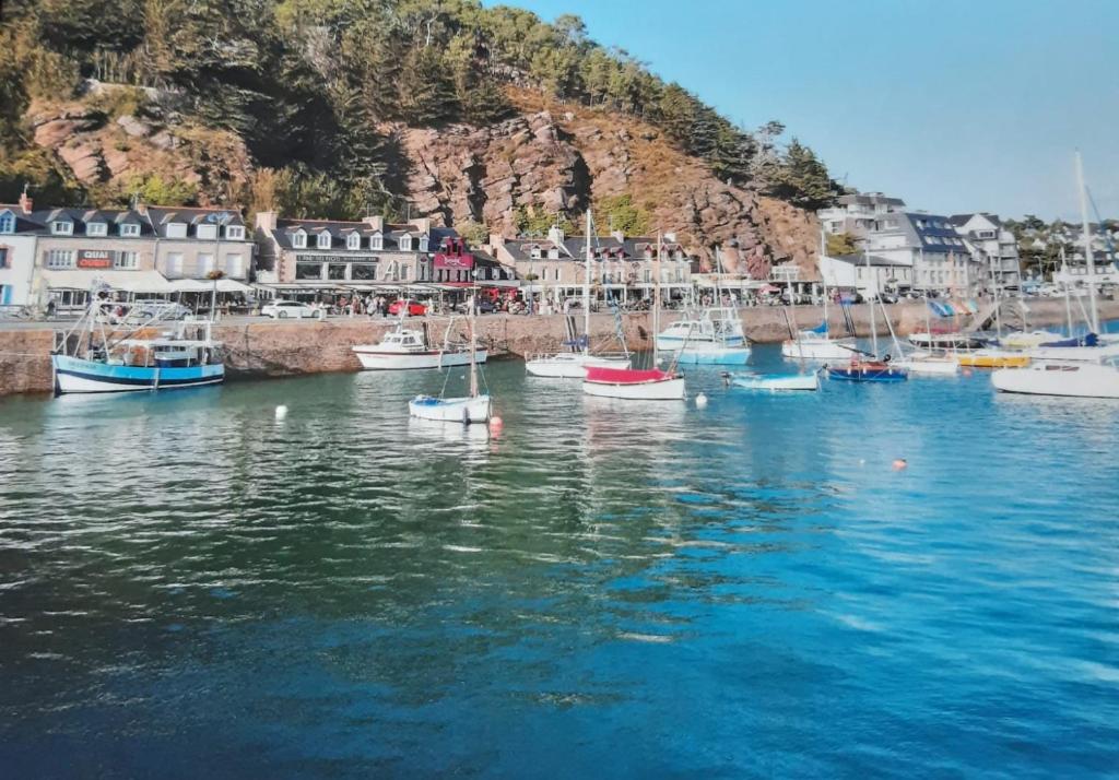 un grupo de barcos en el agua en un puerto en Appartement Devant la Mer, en Erquy