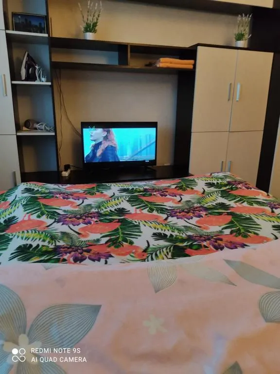 apartment SHUVALOFF, Kudrovo, Russia