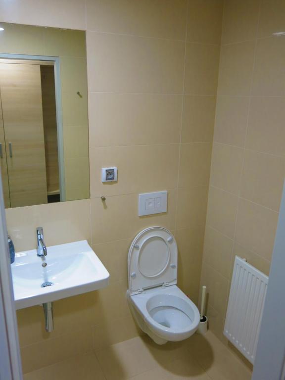 a bathroom with a toilet and a sink at Elmontex Air in Mošnov