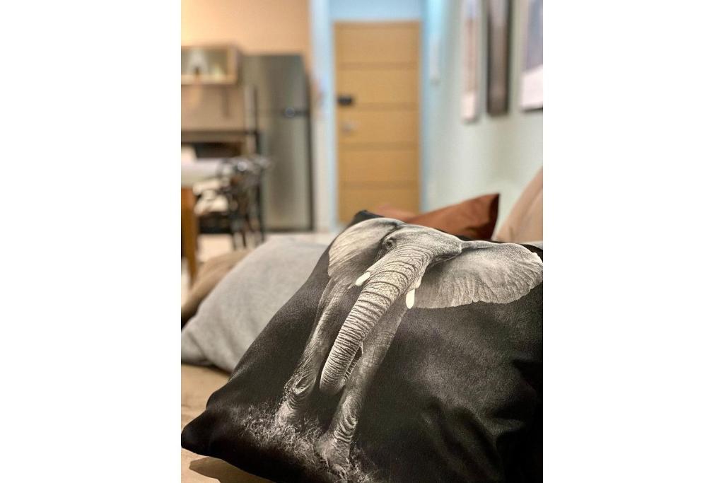  Belíssimo Apartamento no Centro de Ubatuba