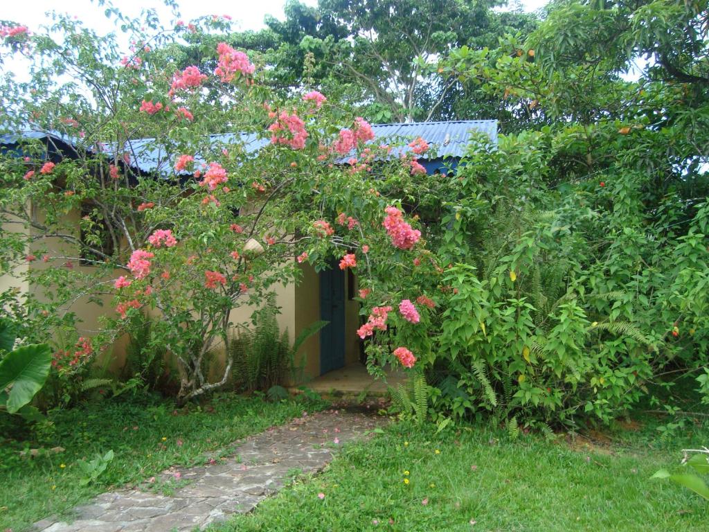 Fata Morgana Eco Hotel - Habitación Doble Económica