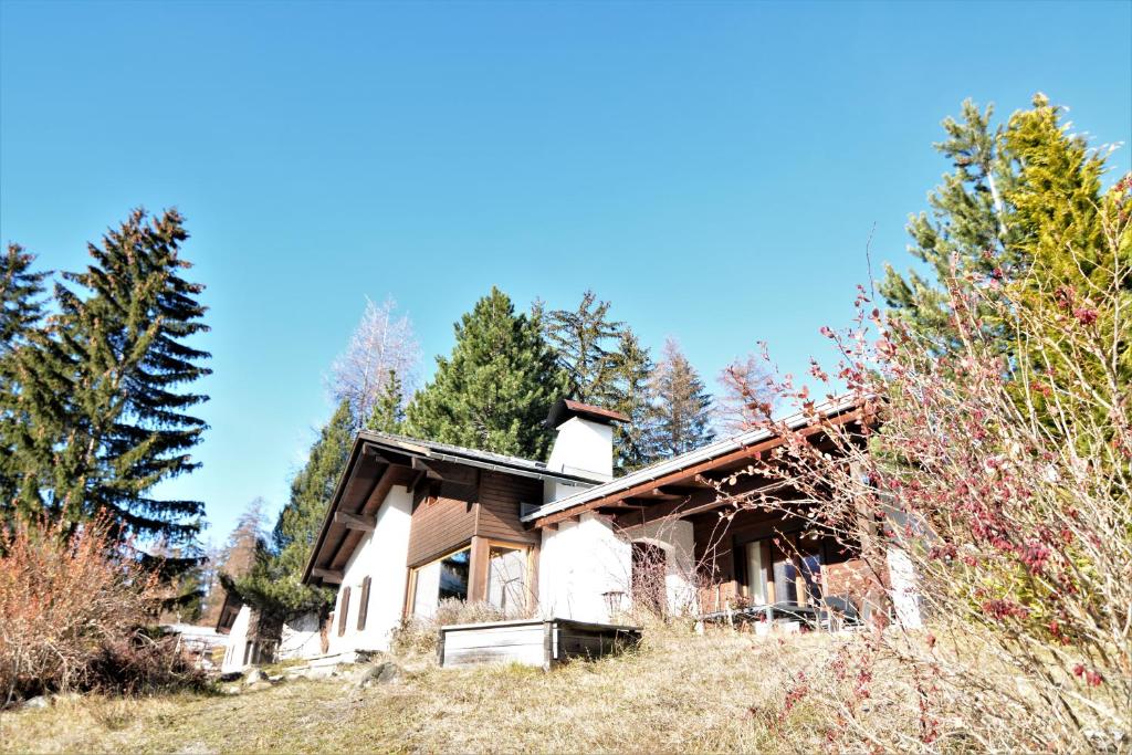 ein altes Haus auf einem Hügel mit Bäumen in der Unterkunft Haus Schwarz in Savognin