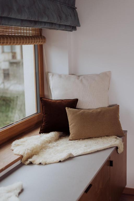 Willa 74 Wisła - 16