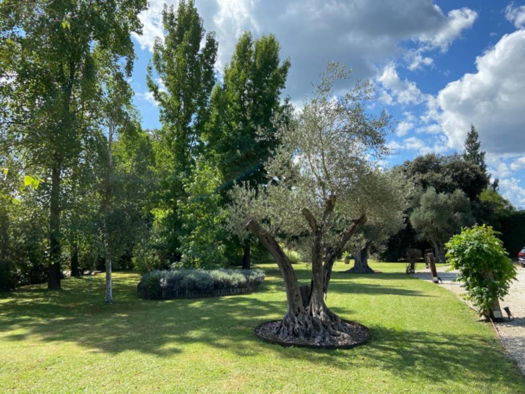 Fotografie z fotogalerie ubytování Can Sagnari v destinaci Cornellá de Terri