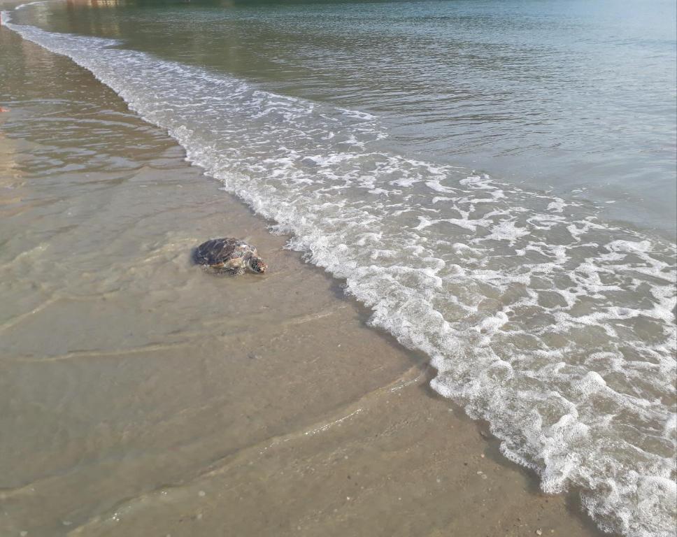  Cobertura na Enseada a 80 m da areia