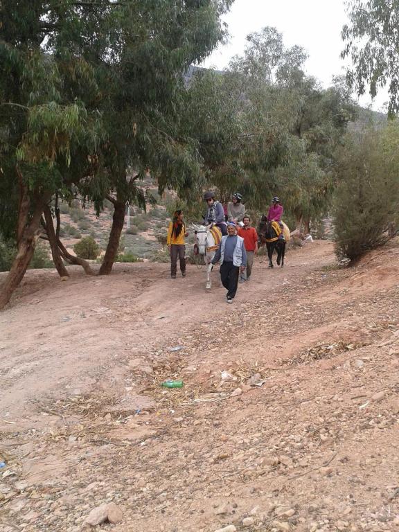 Hosté ubytování Kasbah Du Roches Armed