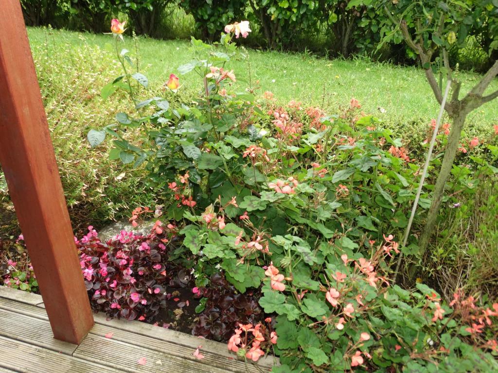 Zahrada ubytování Kauri Lodge Karapiro