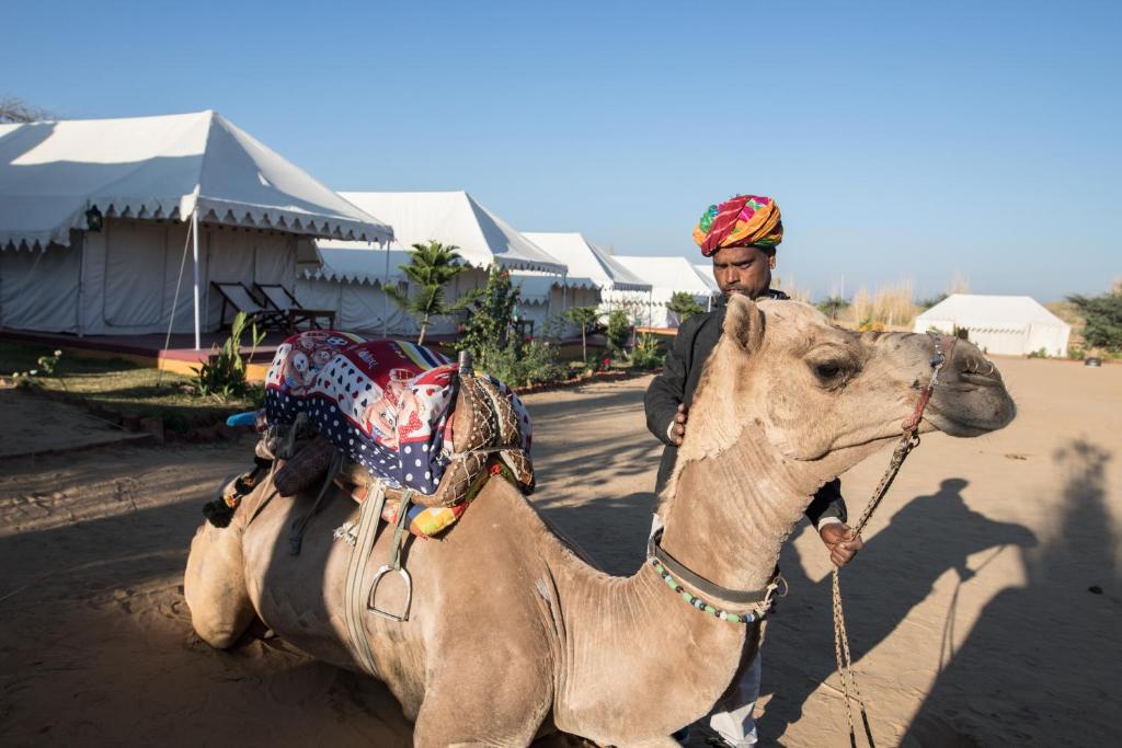a man riding a camel in the street at Pushkar Adventure Camp And Camel Safari in Pushkar