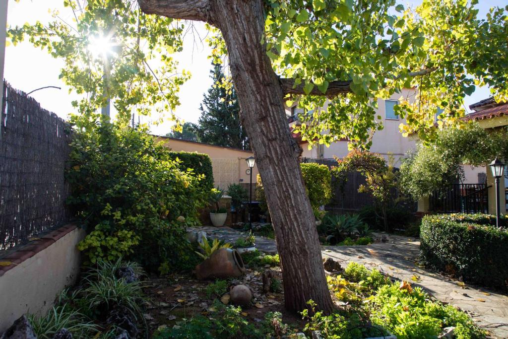 FLORIT FLATS - The Orange Lemon Tree House - Huis Met Drie Slaapkamers