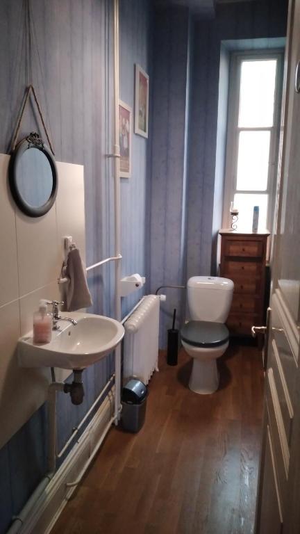 ミュルーズにあるLe grand Charpentierのバスルーム(洗面台、トイレ付)