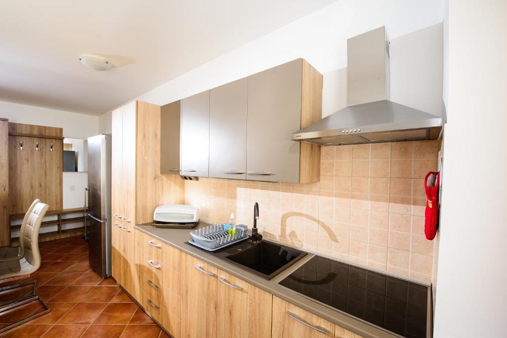 Kuchyň nebo kuchyňský kout v ubytování Plavo nebo Istra Apartments