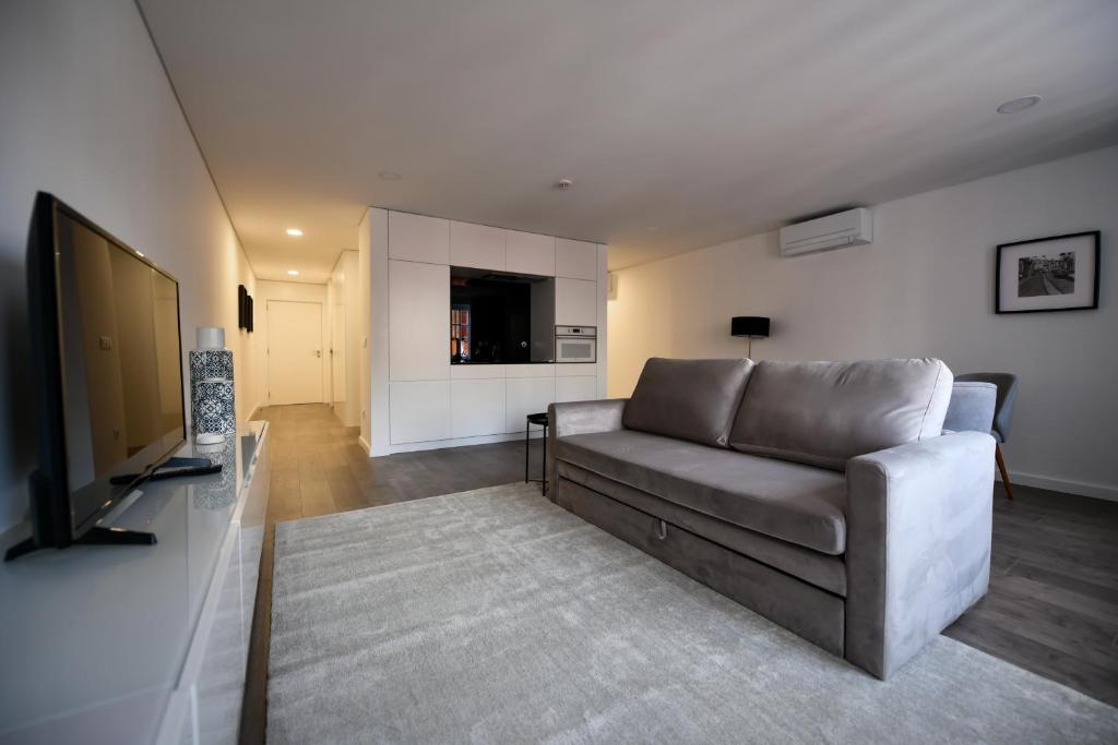een woonkamer met een bank en een televisie bij PALHOTAS GUEST HOUSE - Apartamento Palhotas in Braga