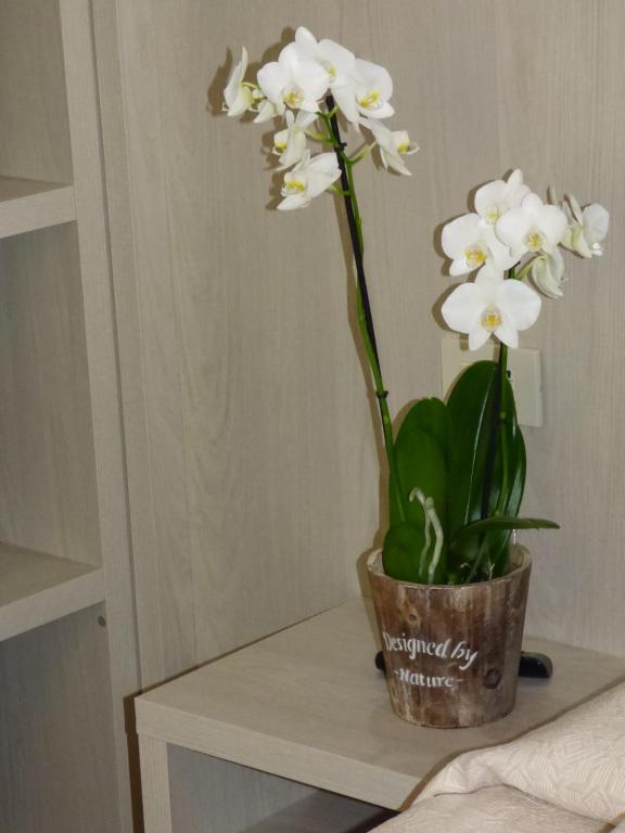 Fotografie z fotogalerie ubytování Design Hotel Astra B&B v destinaci Misano Adriatico