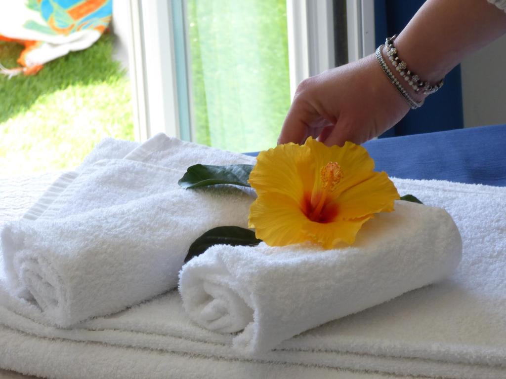Lázně a/nebo wellness v ubytování Design Hotel Astra B&B
