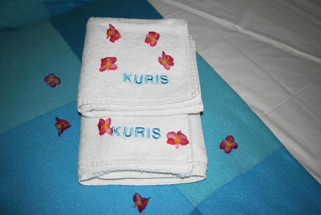 Fotografie z fotogalerie ubytování Kuris Studios & Apartments v destinaci Vasilikos