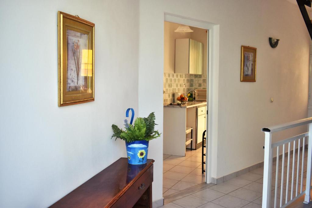 Kuchyň nebo kuchyňský kout v ubytování Kuris Studios & Apartments