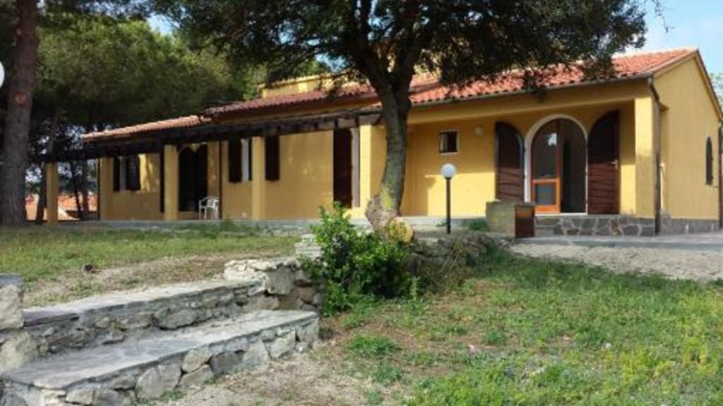 a yellow house with a tree in front of it at Villa Artistica app.1/trilo 6 (trilocale) in Capoliveri