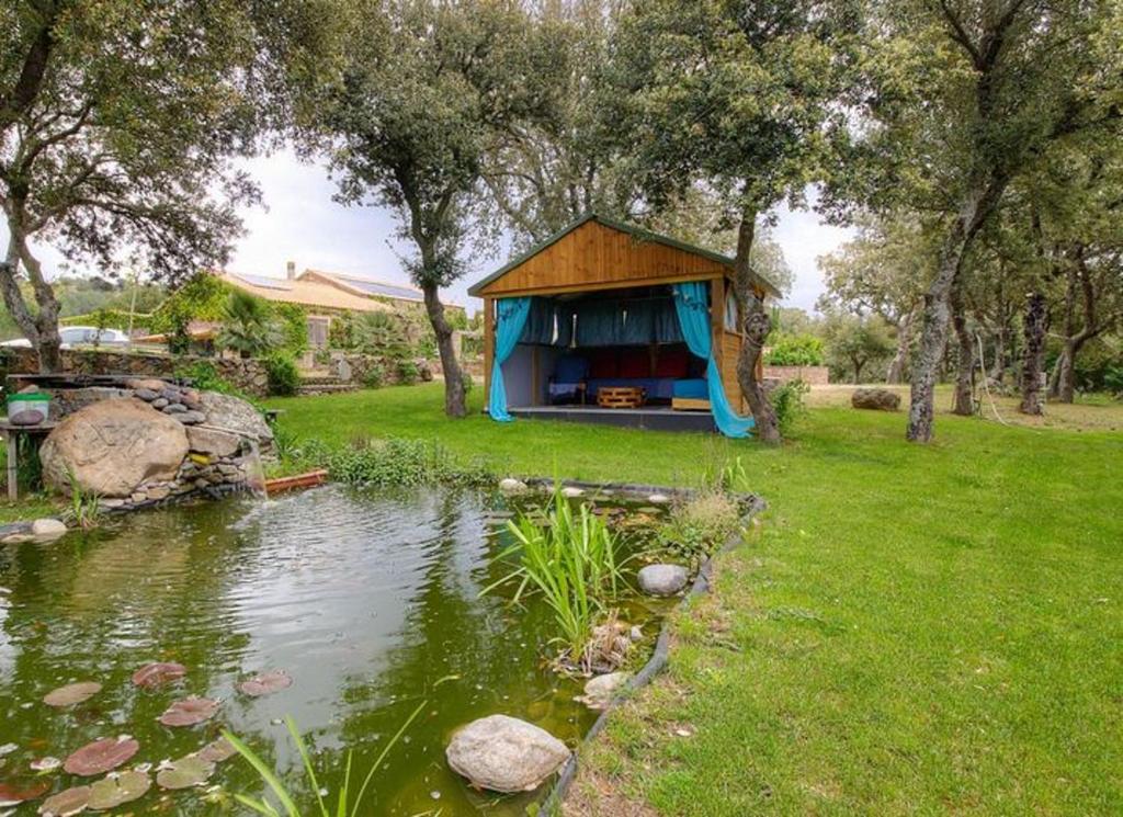 Příroda nedaleko apartmánu