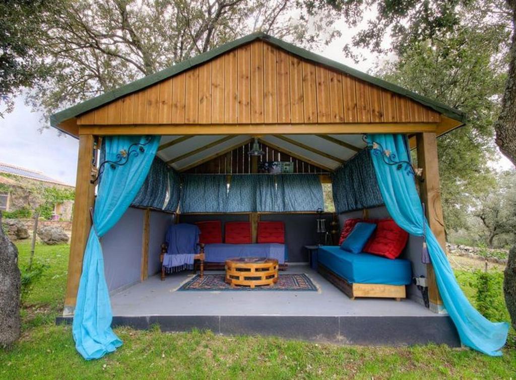Zahrada ubytování Studio accueillant à Moltifao 30 m² avec terrasse et jardin