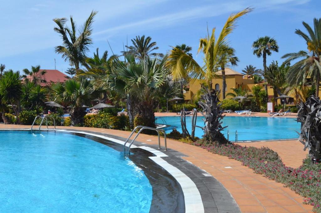 a pool at a resort with palm trees at Cosy apartment in Corralejo, shared pool, 55 m² in Corralejo