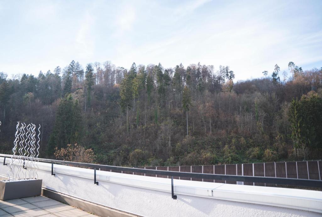 
One-Bedroom Apartment with Terrace
