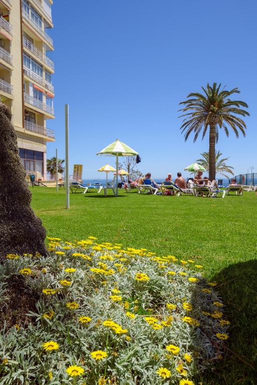 Fotografia z galérie ubytovania Apartamentos Calma Rentals v destinácii Torremolinos
