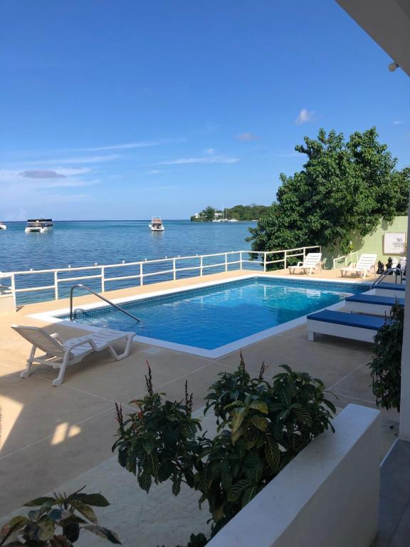 a swimming pool with a view of the water at Ocean Palms in Ocho Rios