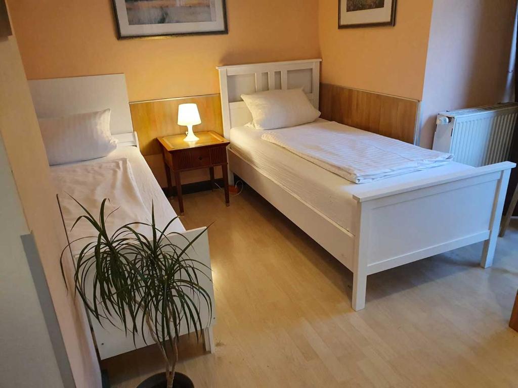 ケルンにあるCityPark Hotelのベッドルーム1室(ベッド2台、鉢植え付)