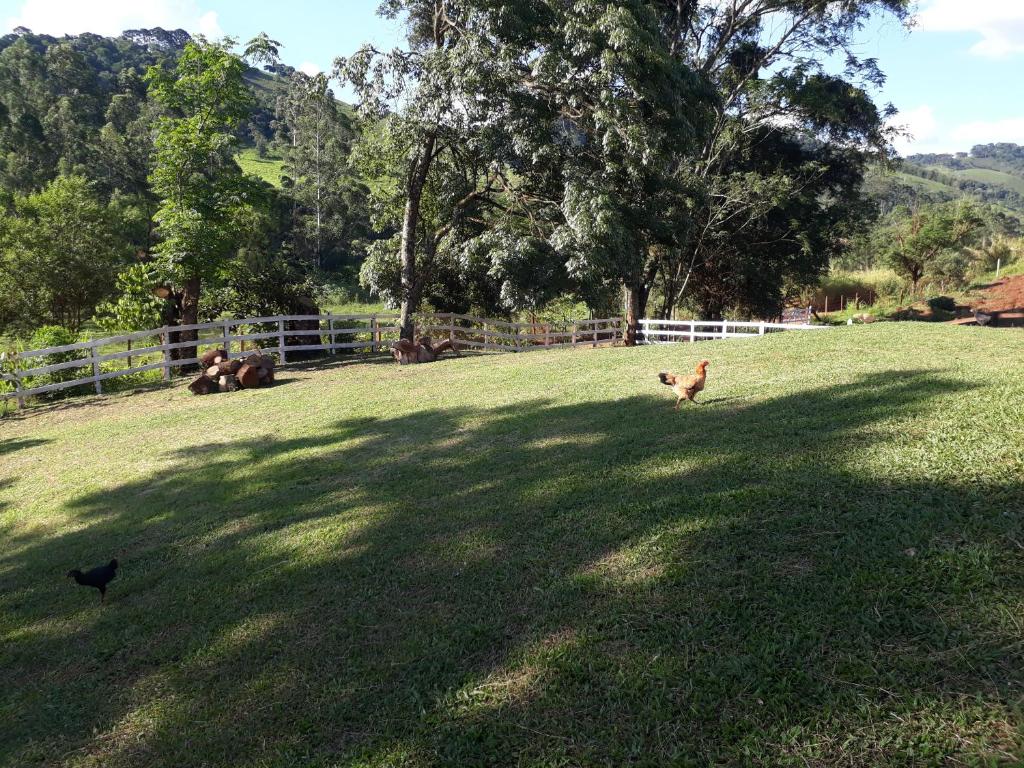  Linda pousada em fazenda na Serra da Mantiqueira
