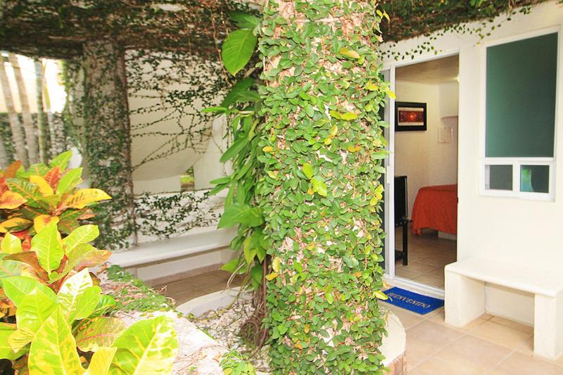 Zahrada ubytování Bon Jesus Hotel