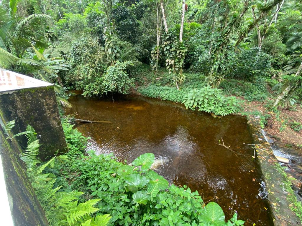  Sítio Cantareira/ Trilha e piscinas naturais