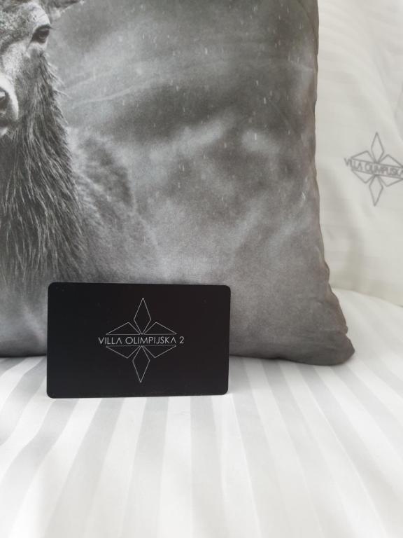 Villa Olimpijska 2 - Centrum - 14