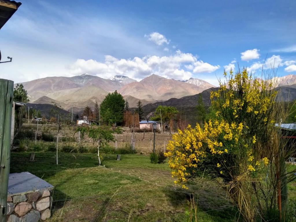 Φυσικό τοπίο κοντά σε αυτό το σαλέ